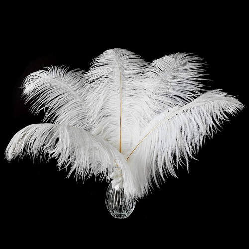 Large white ostrich feathers - white,