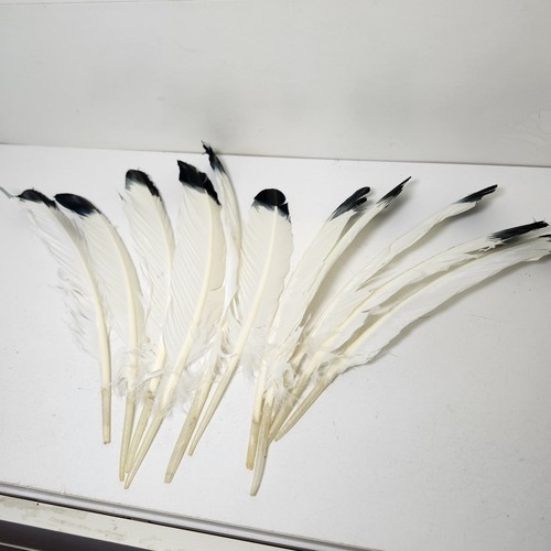 Pcs large imitation eagle - 10,